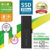 ESD-EWB0250GBKR SSD 外付け USB3.2Gen1 読込最大420MB/秒 USBメモリ型 スライド式 高速 Type-C/USB-A 両対応 エレコム 15688027