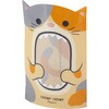 ガオークリアBOX ヤマニパッケージ