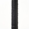 15698019