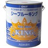 シーブルーキング DNT(大日本塗料)