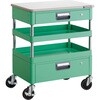 PEW-762VZT-YG �t�F�j�b�N�X���S��(�ȉ��^�C�v�E���^1�i�E1�i���o���t�E�V����) TRUSCO 16273802