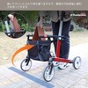 16395456,16395490,16395508,16395526