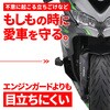 48695 GWveN^[ Xg[C ZX-25R/ZX-4R DAYTONA(fCgi) 16397660