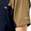 7113SC XNu Dickies(fBbL[Y) 16436905