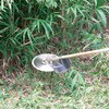 - p I[}CeB`bv\[ EARTH MAN 16459348