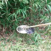 - p O Oin`bv\[ EARTH MAN 16459445