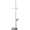 蓮gvt̏dv i  15E16 BH-200A J[\o[cL