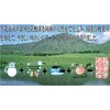 16508488,16508497,16508506