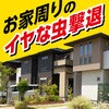 16570061