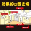 4901080208002 ブラックキャップ アース製薬 16570106