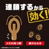 4901080208002 ブラックキャップ アース製薬 16570106
