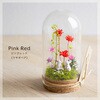 Petit Tenorium ピンクレッド 苔むすび