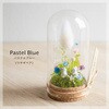 Petit Tenorium パステルブルー 苔むすび
