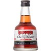 ドーバー チェリーブランデー 24% 100ml cotta