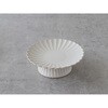 46199 cotta P[LX^h AeB[N (18cm) cotta 16753181