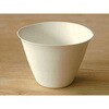 WASARA 猪口 12個入 cotta