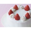 86974 CKPDA~tbfz[15cm cotta 16807711