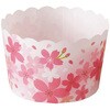 マフィンカップ チェリーブロッサム 65×50 cotta