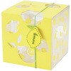 ギフト箱 レモンスリーブボックス cotta