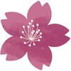 ケーキピック はんなり桜ダイカット cotta