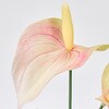 FM000309-006 AlAXEoh MAGIQ() 16881335