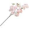 はなな桜 MAGIQ(東京堂)