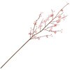 しおり桜 MAGIQ(東京堂)