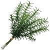FG000399 tbV[Y}[sbN MAGIQ() 16884099