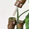 FG001550 XeWCg|bg MAGIQ() 16884336