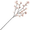 淡雪の桜 満開中 MAGIQ(東京堂)