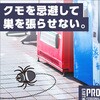 4901080034915 業務用虫ブロッククモの巣 窓・ガラス アース製薬 17298045