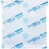 ドライアイス代替冷凍用保冷材 チルテインソフト -16℃ アイスジャパン
