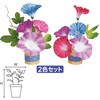 朝顔スダレペアスタンド アルファ(販促)