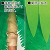 TE2-4065 ヤシ立木セット (高さ：240cm) アルファ[販促] 17478749