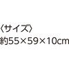 17504037