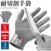 s-tex 581特集