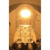 12V 21/5W T20 W3X16q EFbWx[Xd 12V _u m^E 17546978