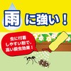 -  JfEARi[Y pE_[ (KINCHO) 17549358