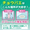 - チョウバエコナーズ 泡スプレー 金鳥(KINCHO) 17549376