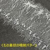 17605160