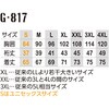 G-817 hCp[T|[g  GLADIATOR 17726689