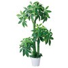 年間装飾品 フェイクグリーン 観葉植物 人工樹木 ストア・エキスプレス
