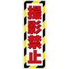 G板トラ柄 撮影禁止 グリーンクロス