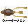PIT虫「ピット虫」 KEEPER LINE