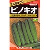 【タネ】ミニきゅうり ピノキオ カネコ種苗