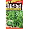 【タネ】湯あがり娘 カネコ種苗