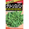 【タネ】リーフレタス グリーンスパン カネコ種苗