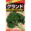 【タネ】パセリ グランド カネコ種苗
