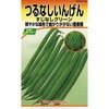【タネ】つるなしいんげん すじなしグリーン カネコ種苗