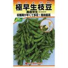 【タネ】極早生枝豆 奥原早生 カネコ種苗